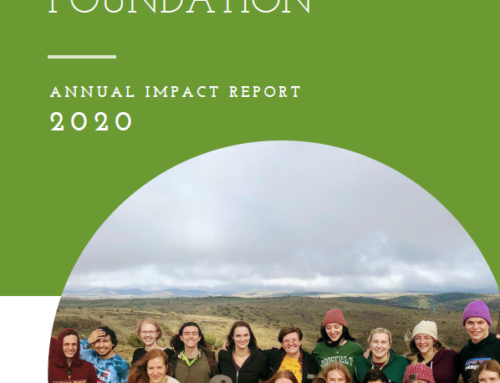 2020 Annual Impact Report